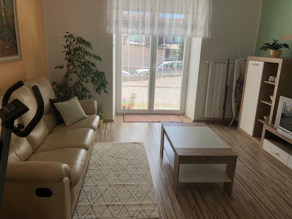 Apartma Mahnic 波斯托伊纳 外观 照片