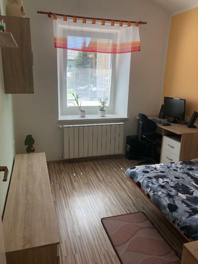 Apartma Mahnic 波斯托伊纳 外观 照片